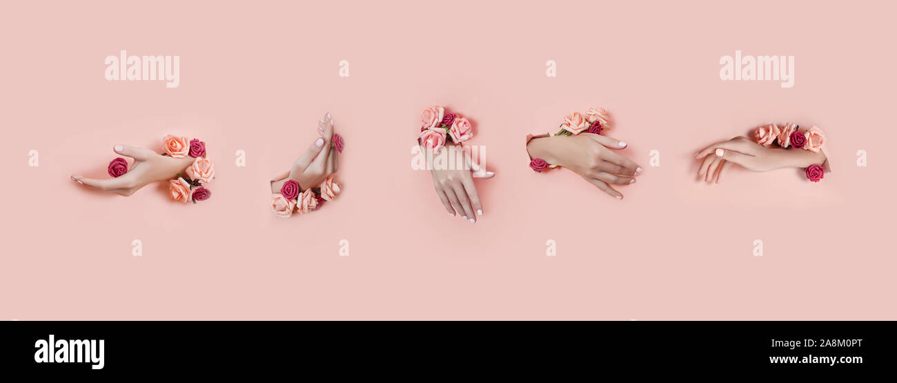 Set hands with artificial flowers sticking out of hole pink paper background. Hand in various poses, the pattern layout for your collage. Cosmetics ha Stock Photo