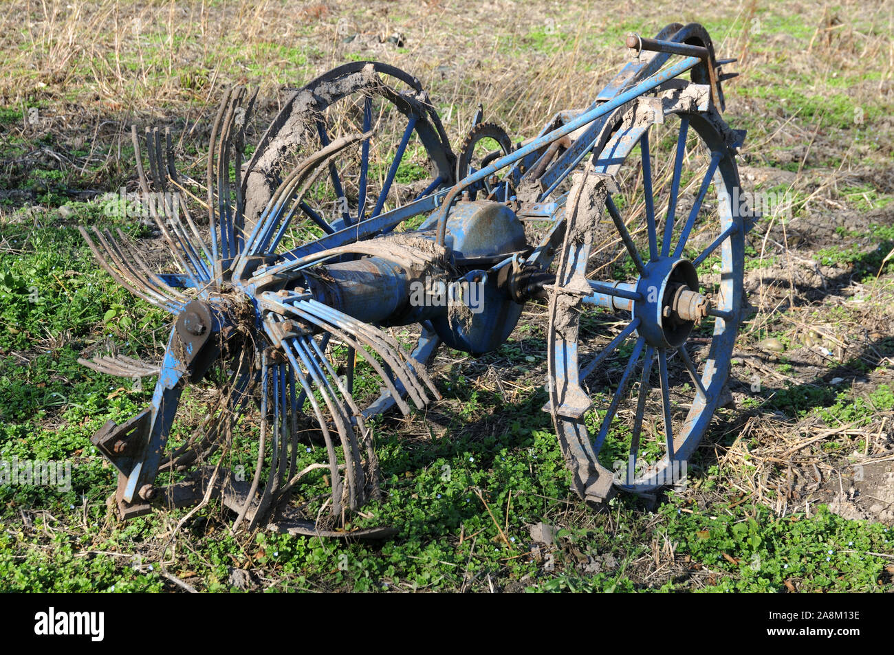 old rusty hay tedder with blue paint flaking off beside field Stock