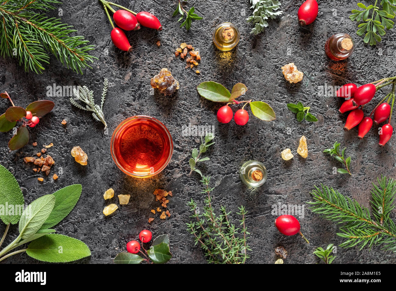Bottles of essential oil with frankincense, myrrh, wintergreen, santolina and other herbs on a dark background Stock Photo