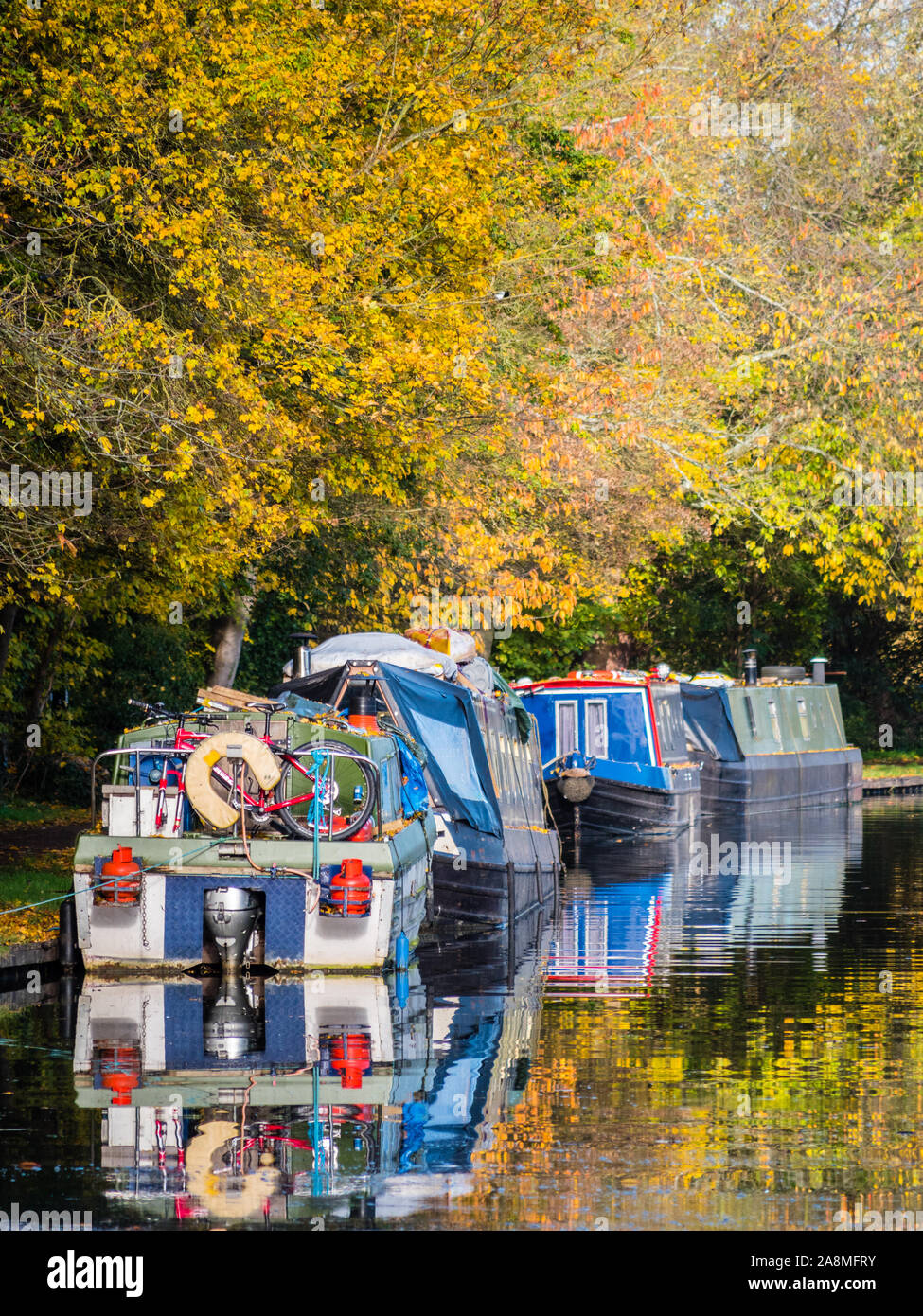 Narrow Boats on the Castle Mill Stream, Oxford, Oxfordshire, England, UK, GB. Stock Photo