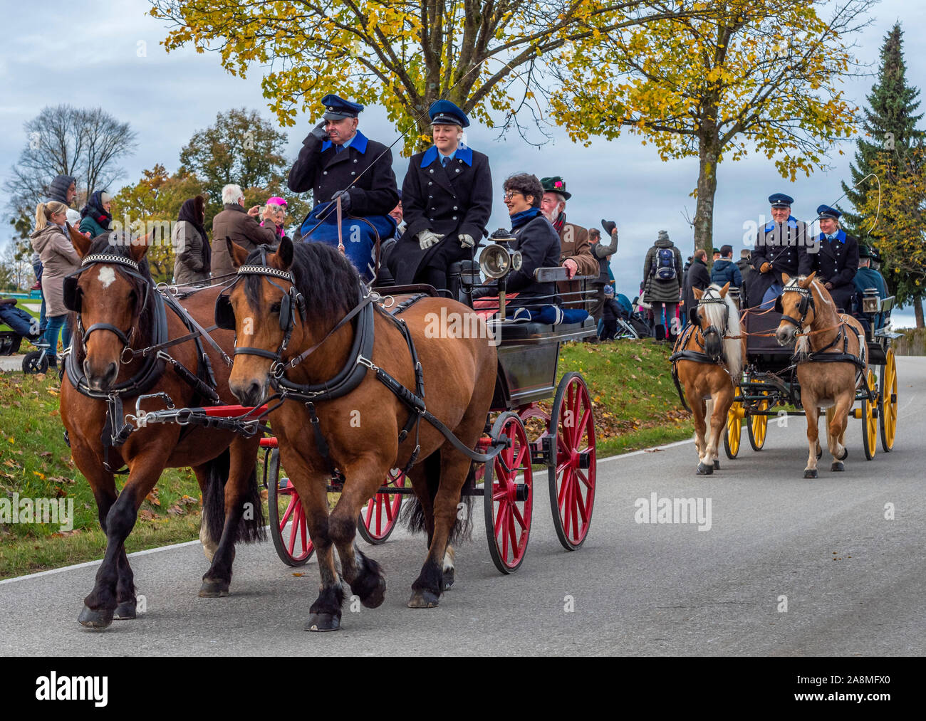 Carriage at the Leonhardi procession to Froschhausen, Murnau, Pfaffenwinkel region, Upper Bavaria, Bavaria, Germany, Europe Stock Photo