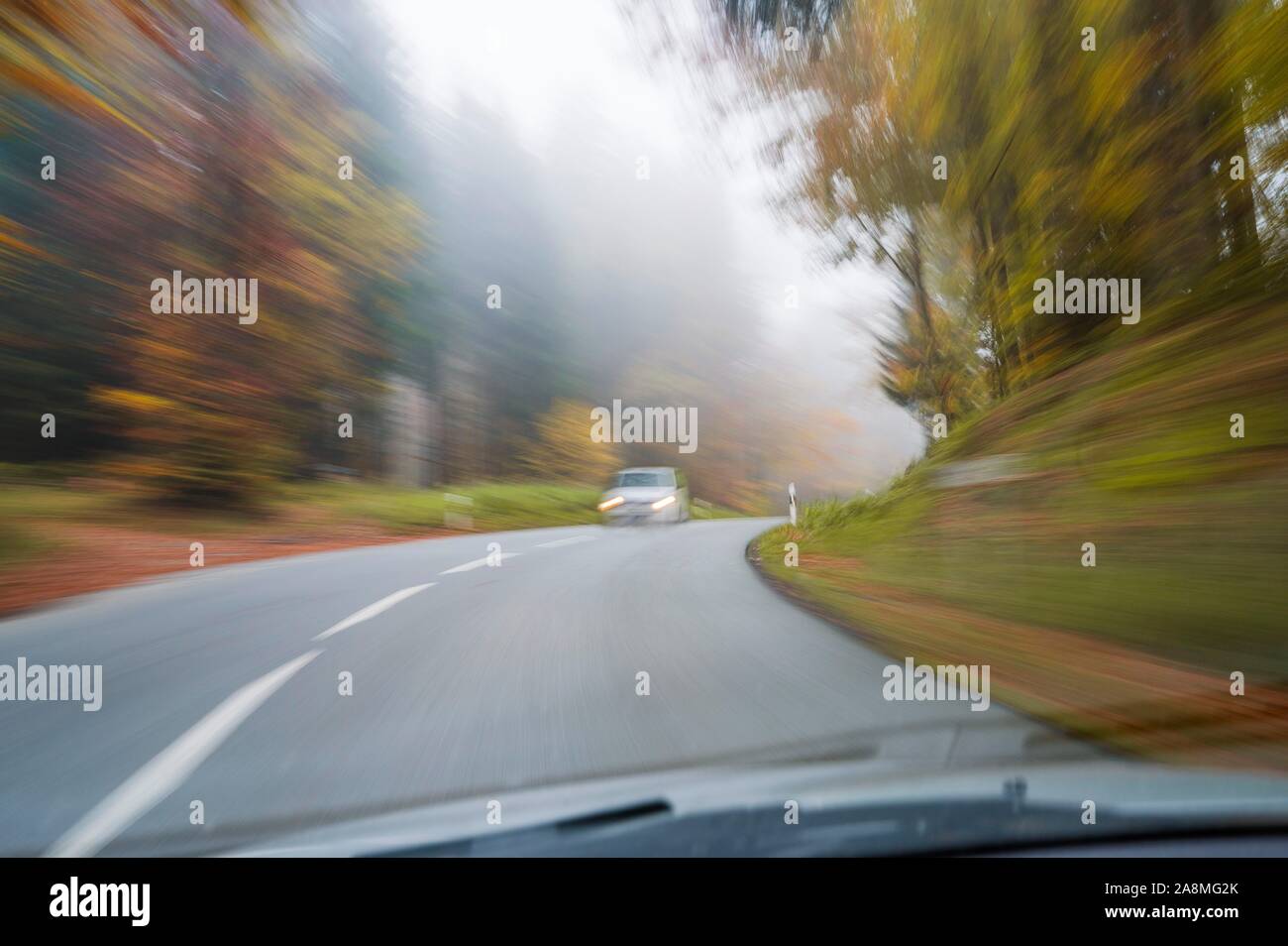 Oncoming traffic, country road in autumn forest with fog near Holzkirchen, Upper Bavaria, Bavaria, Germany Stock Photo