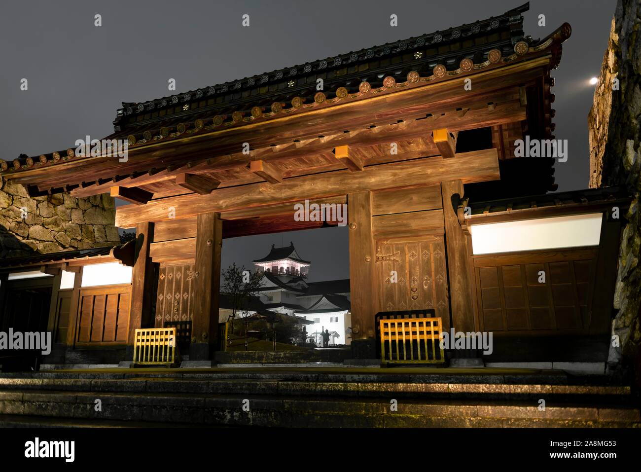 Japanese castle at night, Toyama Castle, Toyama, Japan Stock Photo