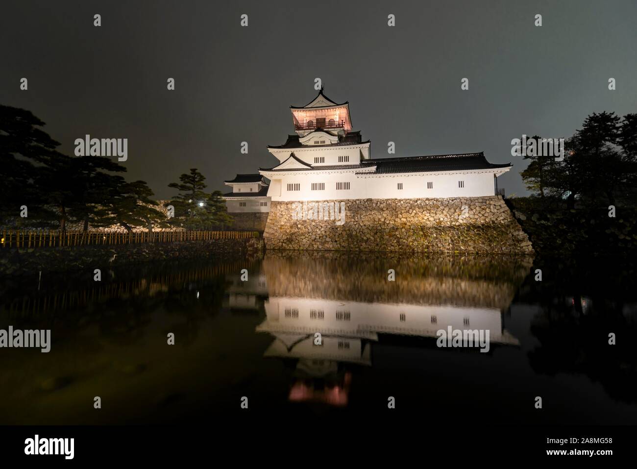 Japanese castle at night, Toyama Castle, Toyama, Japan Stock Photo