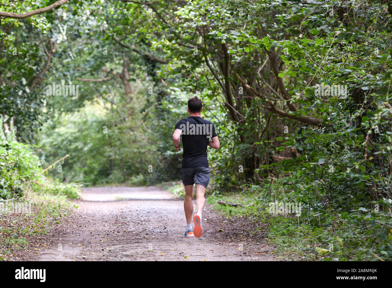 man jogging in woodland Stock Photo