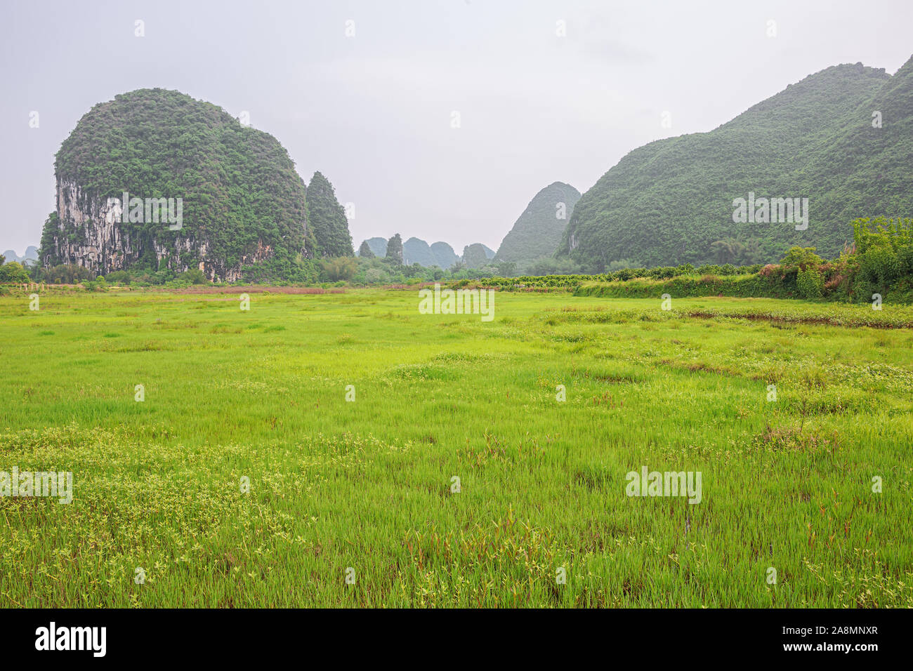 Overlooking a meadow in the karst hills in the vicinity of Yangshuo near Guilin Stock Photo
