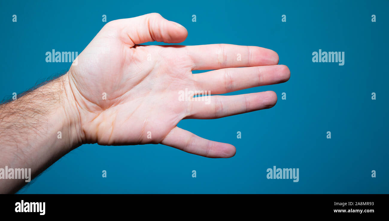 How to make an animal hand shadow puppet on blue background Stock Photo -  Alamy