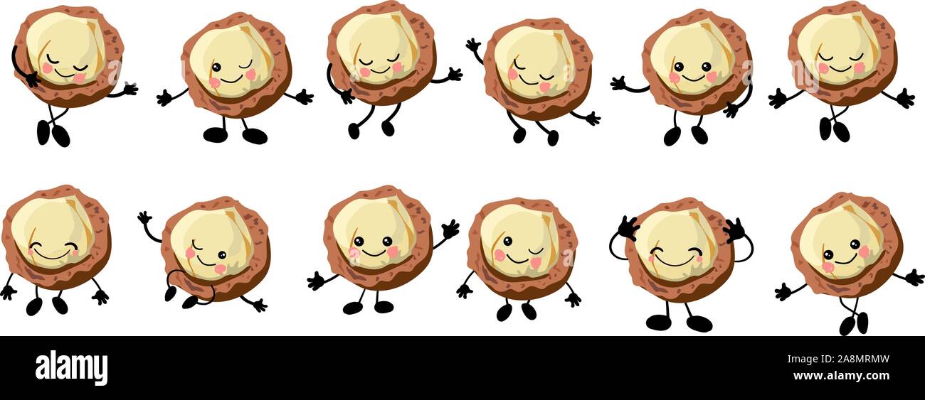 Macadamia nut. a large set of Cute Nuts characters with hands and eyes. Cartoon fruit or