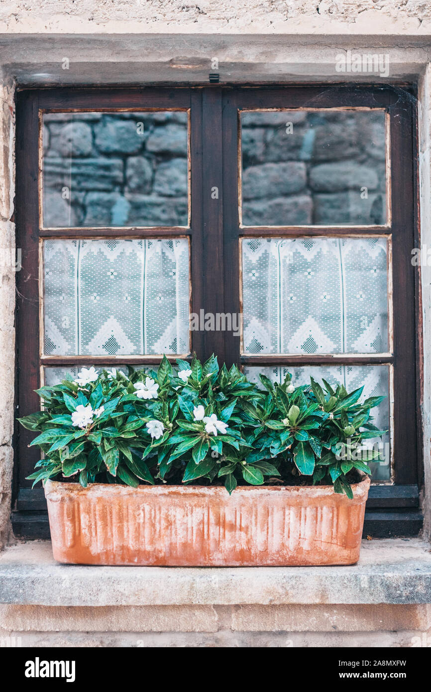 Old vintage wooden window with curtains and flower pots Stock Photo - Alamy