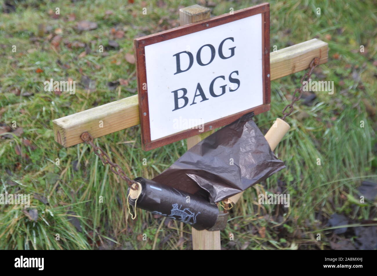 Dog dirt bags, dog poo bags Stock Photo Alamy