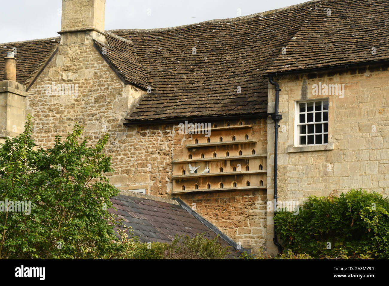 Dovecote built into the body of Barton Farm house at Bradford on Avon, Wiltshire, England.Still inhabited by doves. Stock Photo