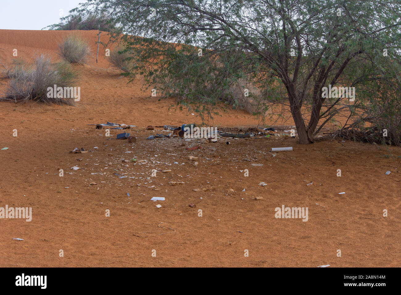 Plastic pollution and garbage dumping in the desert sand under a tree. Need for awareness of enviornmental protection, recycling, and protecting the w Stock Photo