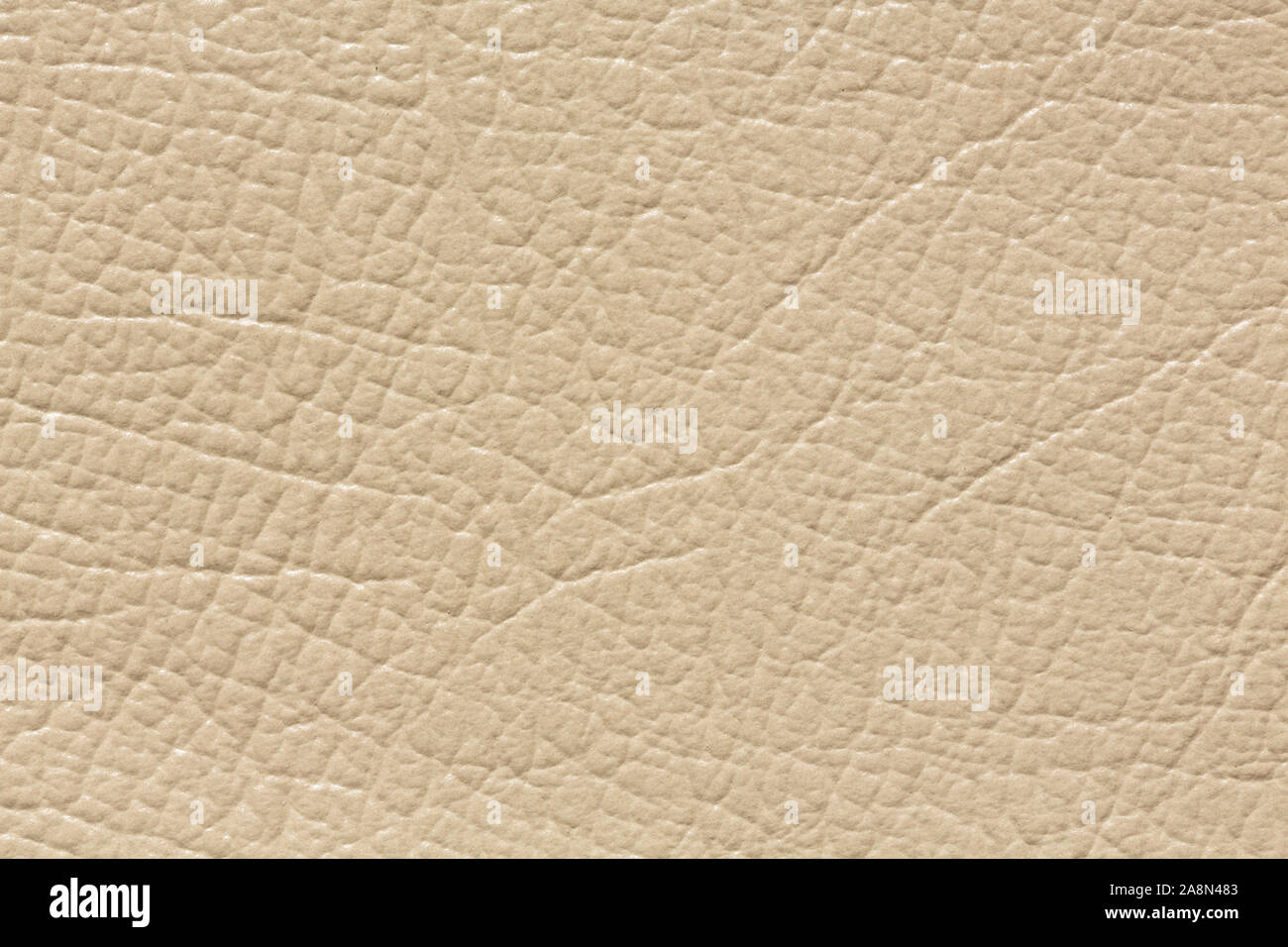 Masterly leather background in perfective light colour. Stock Photo