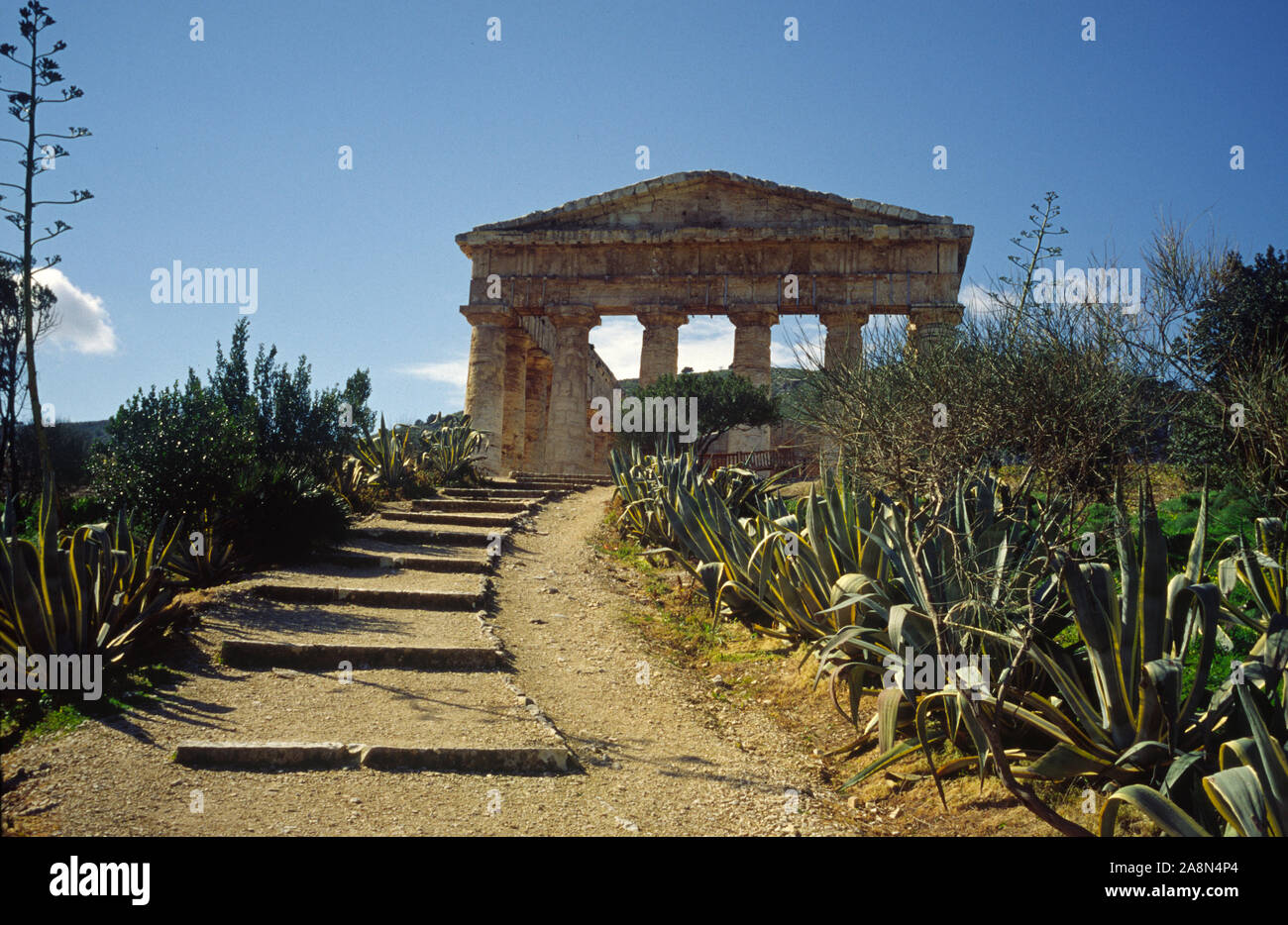 AGRIGENTO - VALLEY TEMPLE - SICILY - ITALY - GREEK AND ROMAN ARCHITECTURE VESTIGE  - HISTORIC SITE - COLOR SLIDE FILM © Frédéric BEAUMONT Stock Photo