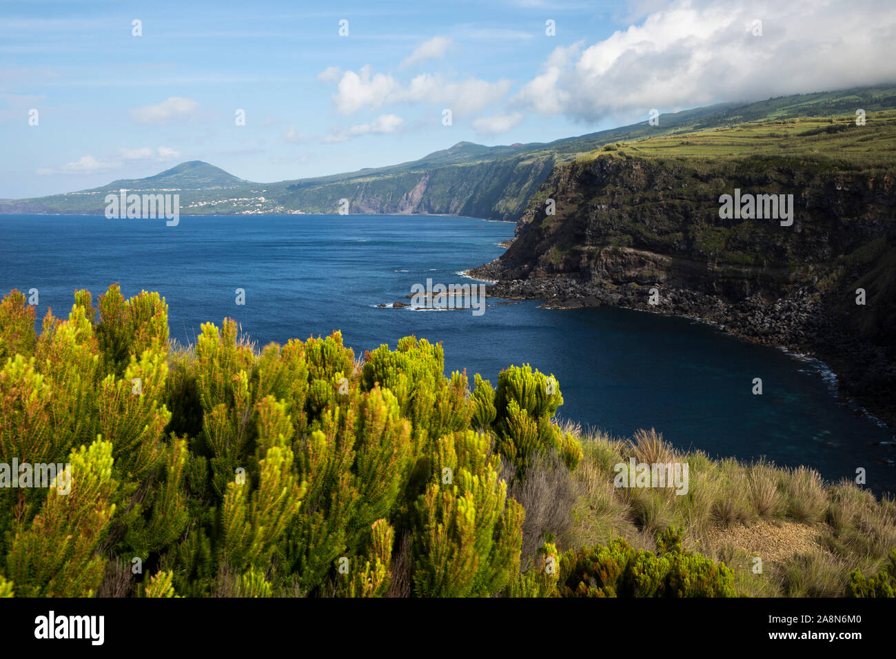 View from morro de Castelo Branco. Faial, Azores, Portugal Stock Photo