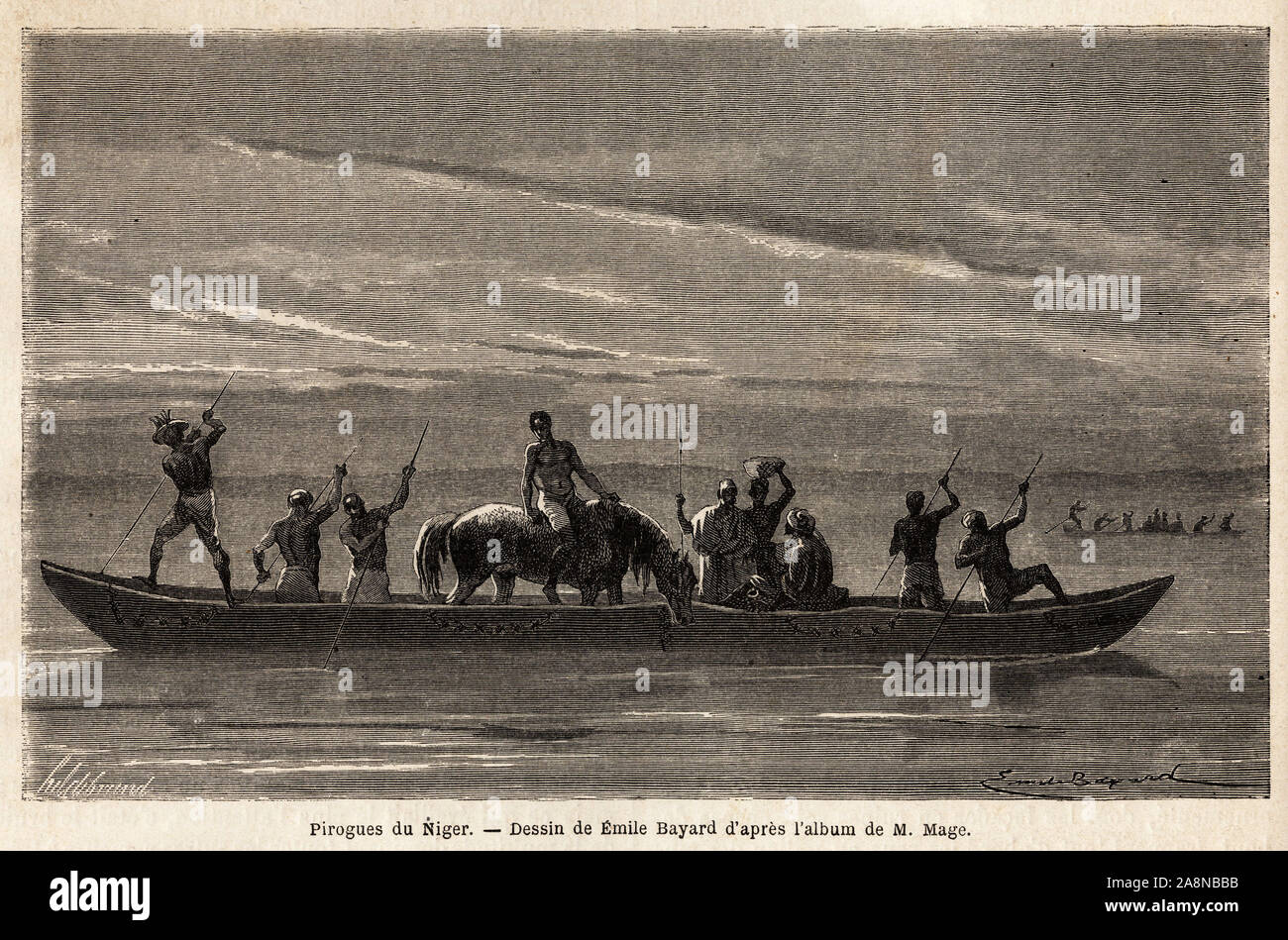 Les longues pirogues des Bambaras sur le fleuve Niger, manoeuvrees a l'aide de longuesperches, elle peuvent transporter plusieurs personnes et meme du Stock Photo