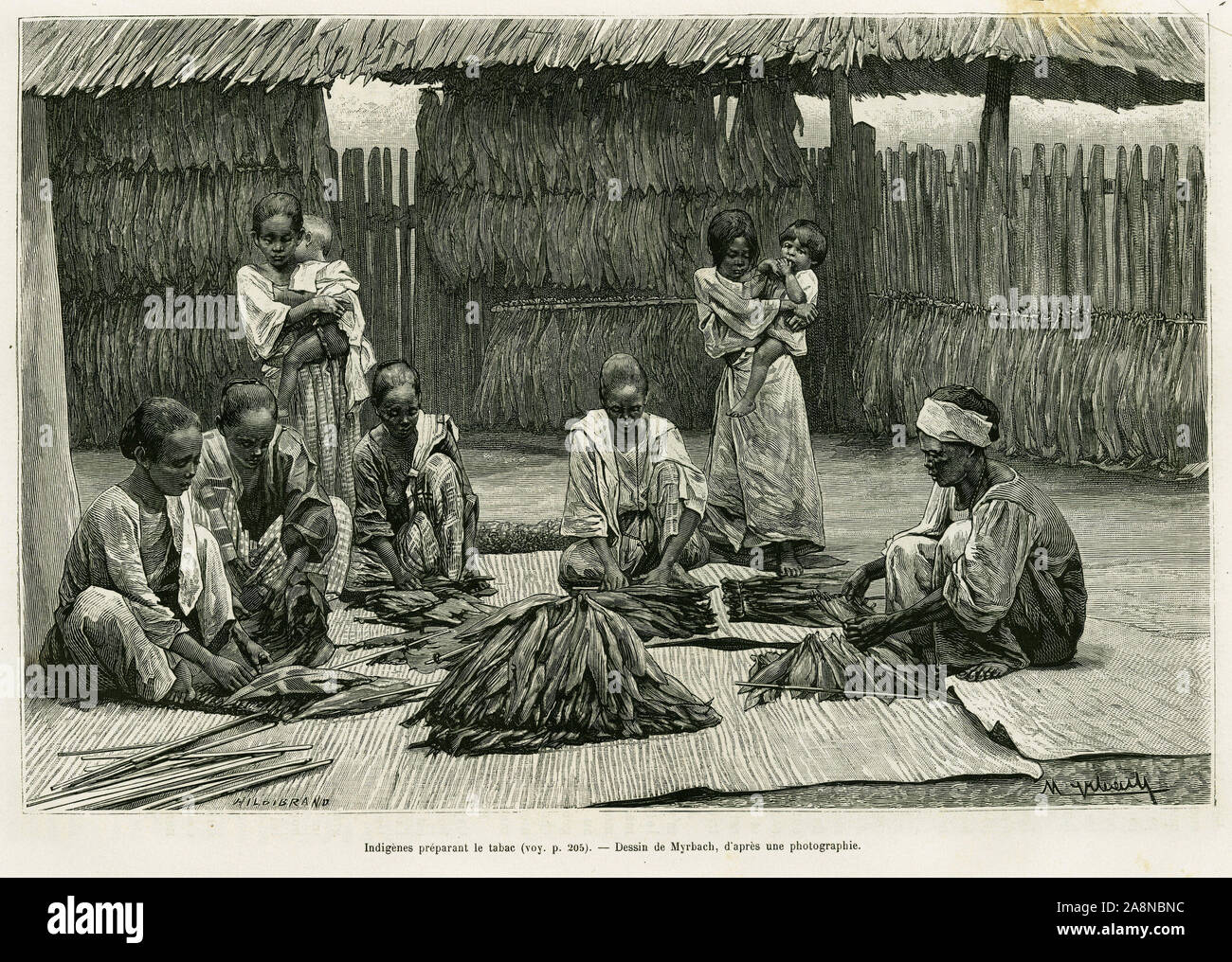Indigenes preparant le tabac. Gravure de Myrbach pour illustrer le recit Lucon et Palaouan, six annees aux Philippines, par Alfred Marche (1844-1898), Stock Photo