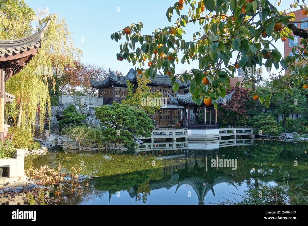 PORTLAND, OR -2 NOV 2019- View of the landmark Lan Su Chinese Garden (Portland Classical Chinese Garden, Garden of Awakening Orchids) located in the O Stock Photo