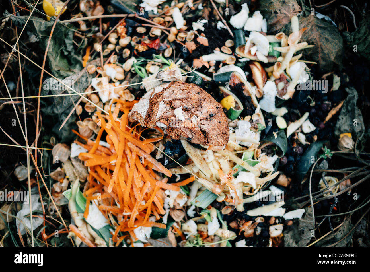 Compost heap and fly hi-res stock photography and images - Alamy