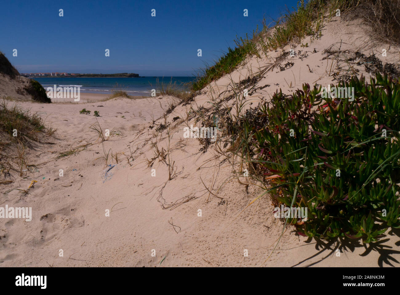 Sand dunes on Gamboa Beach Peniche Portugal Stock Photo