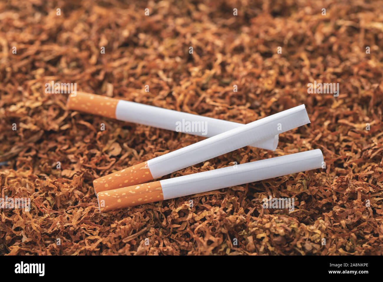 cigarettes closeup on a background of dry tobacco Stock Photo Alamy