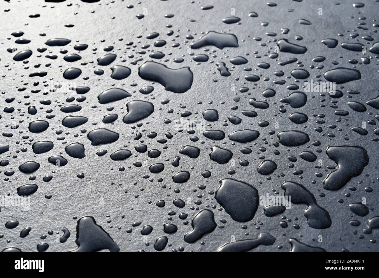 Drops of water against a black background. Stock Photo
