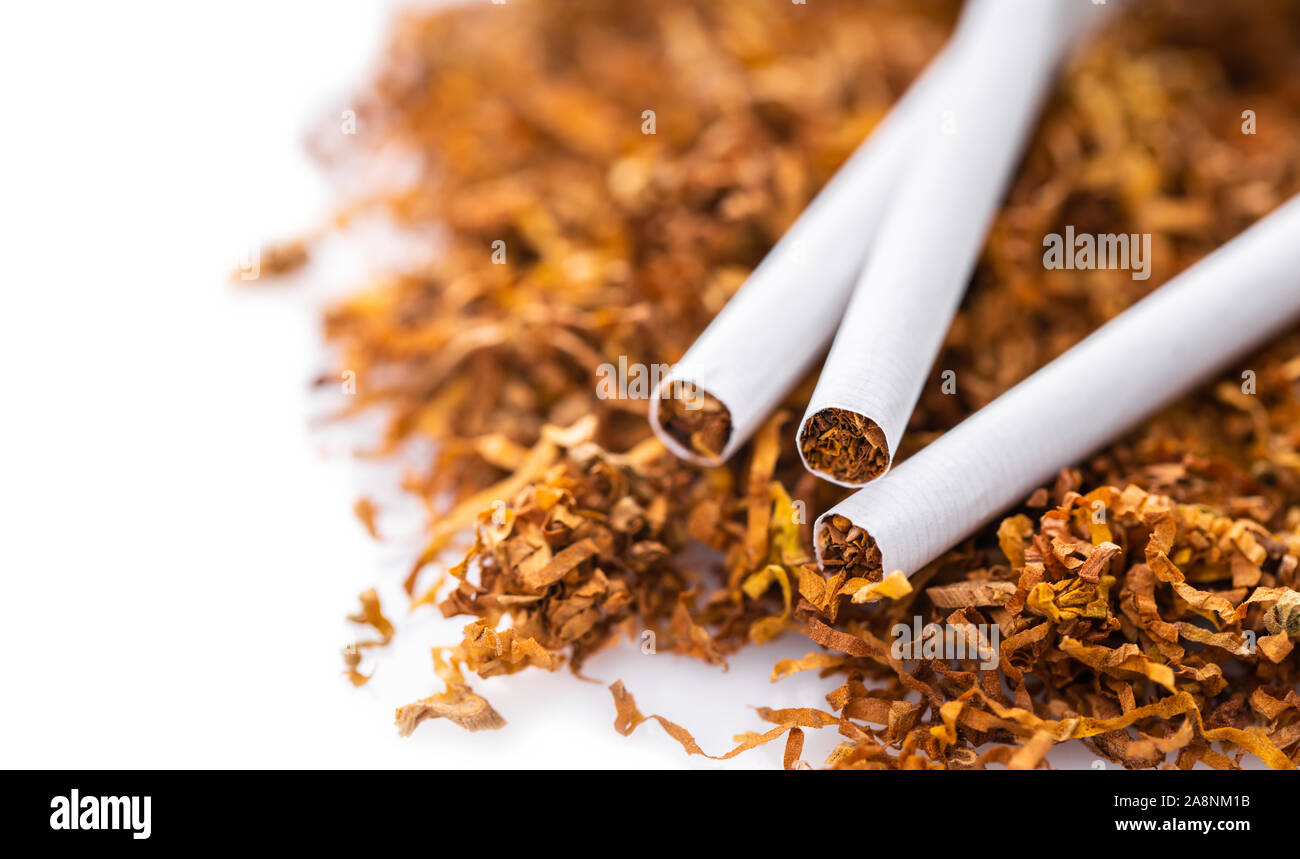 cigarettes close-up on a background of dry tobacco Stock Photo