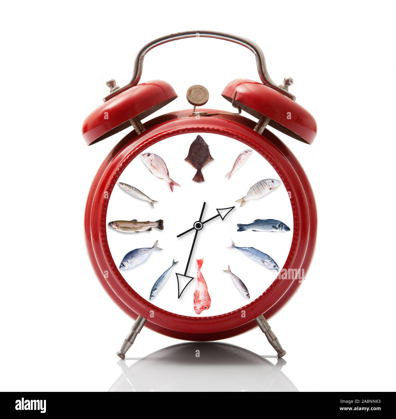 isolated alarm clock with fish dial on white background Stock Photo - Alamy