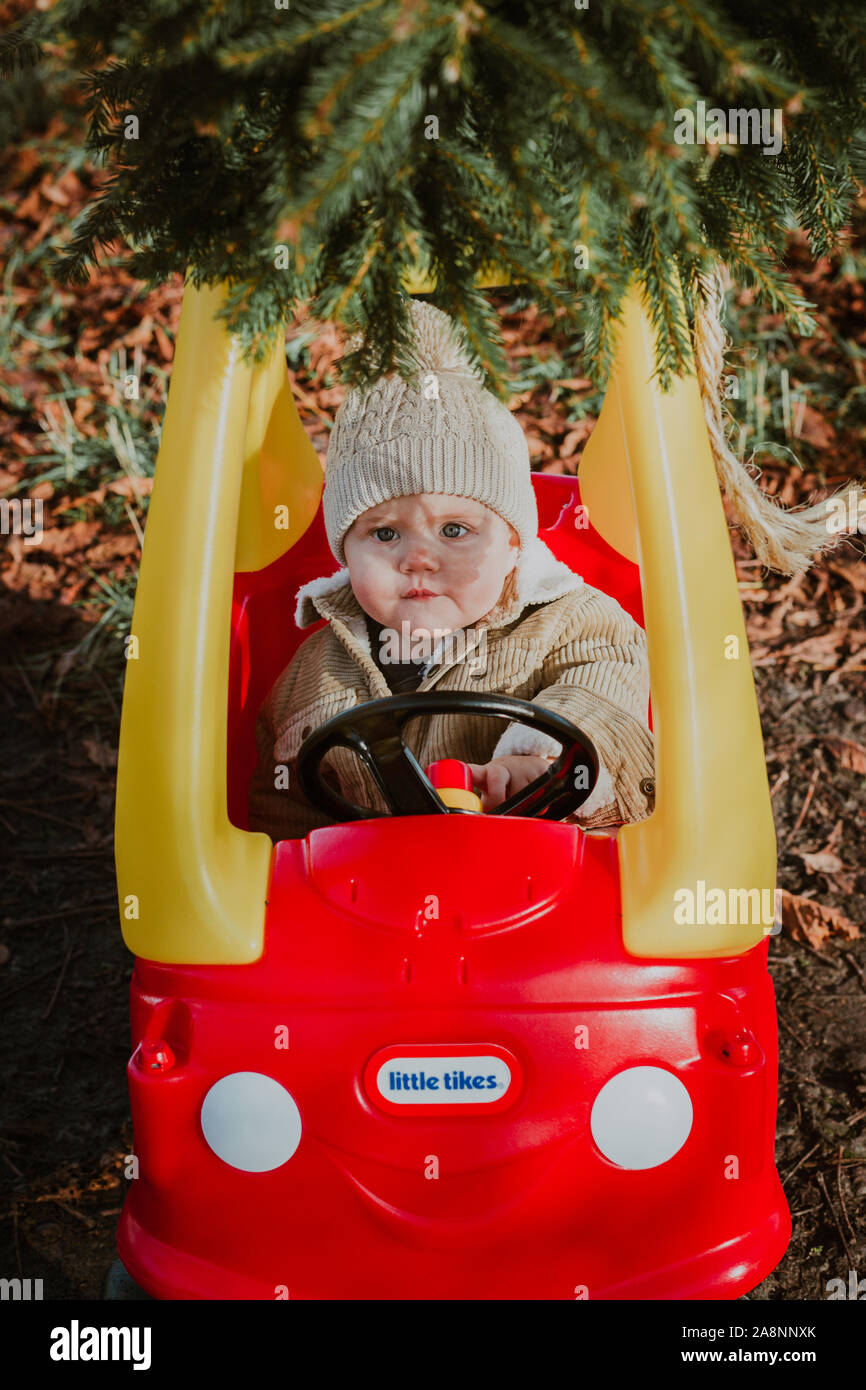 little tikes christmas tree
