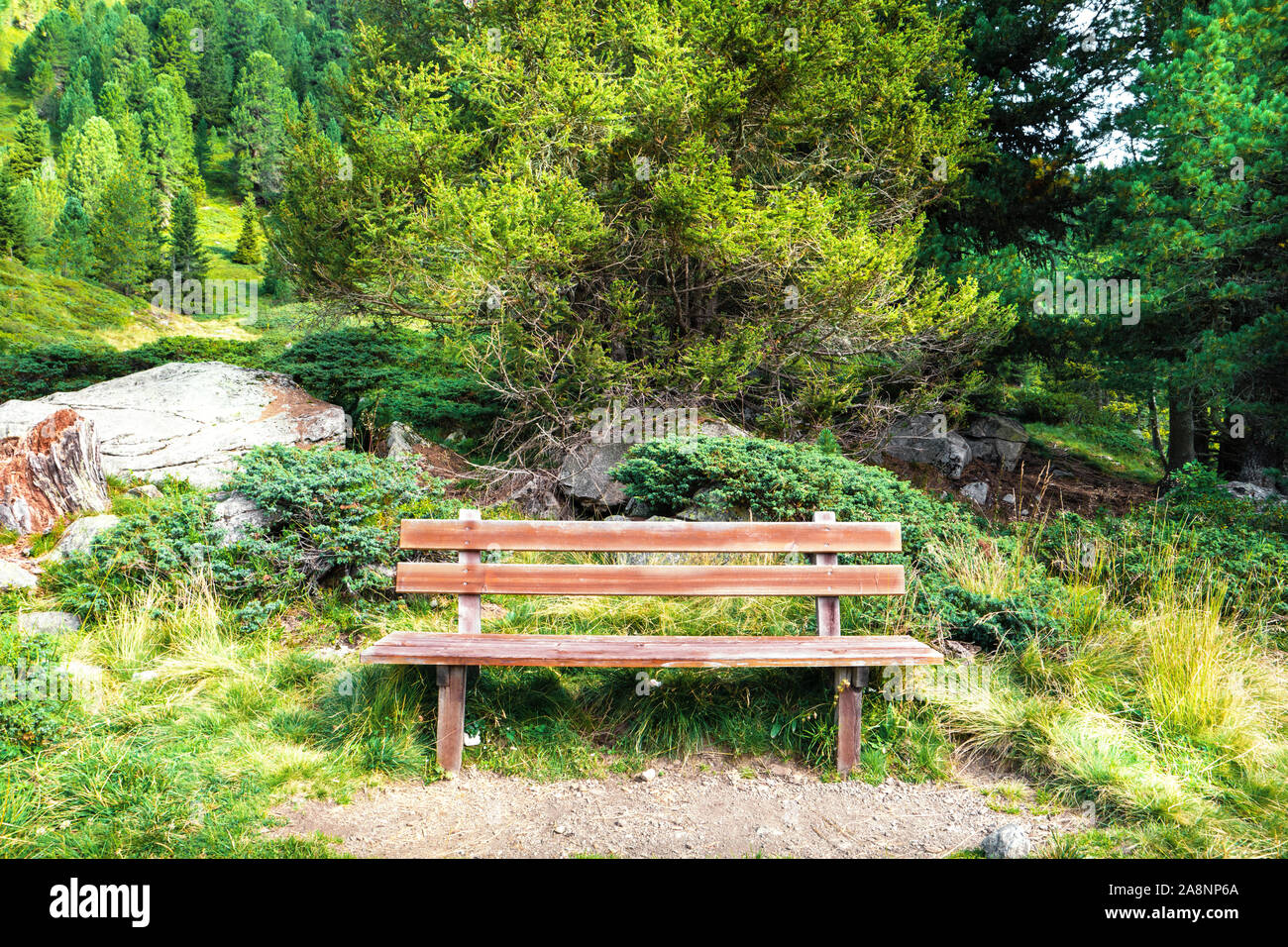 Bench in woods deals