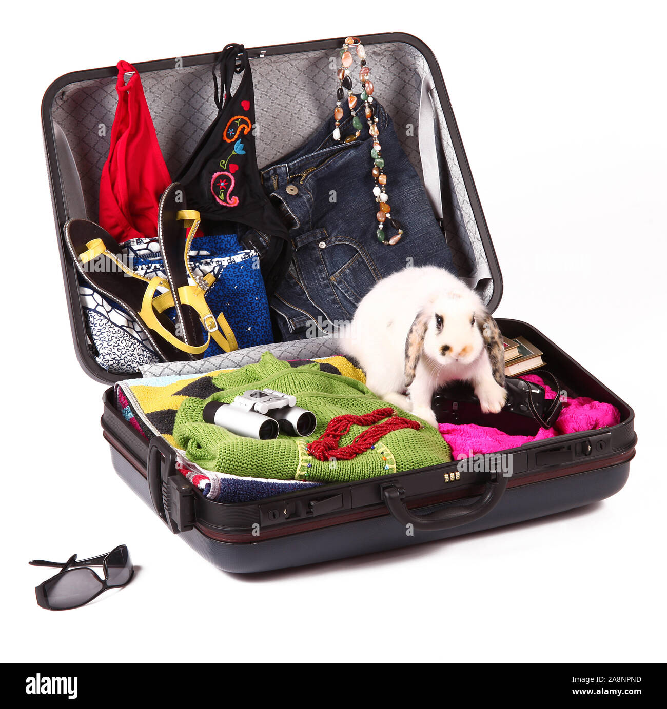 modern suitcase full of dress and objects on white background Stock Photo