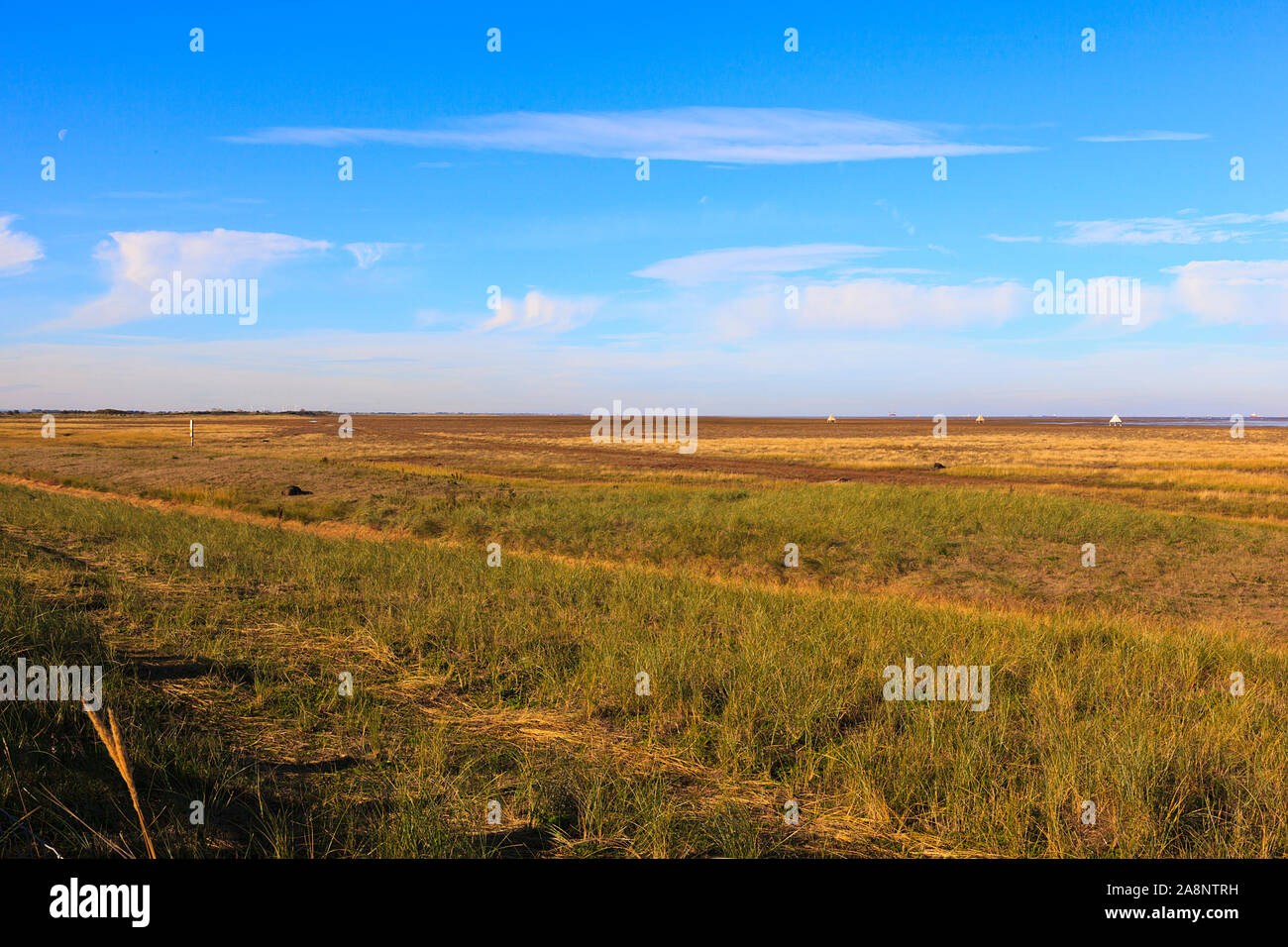 RAF firing range at Donna Nook on the Lincolnshire Coast UK Stock Photo