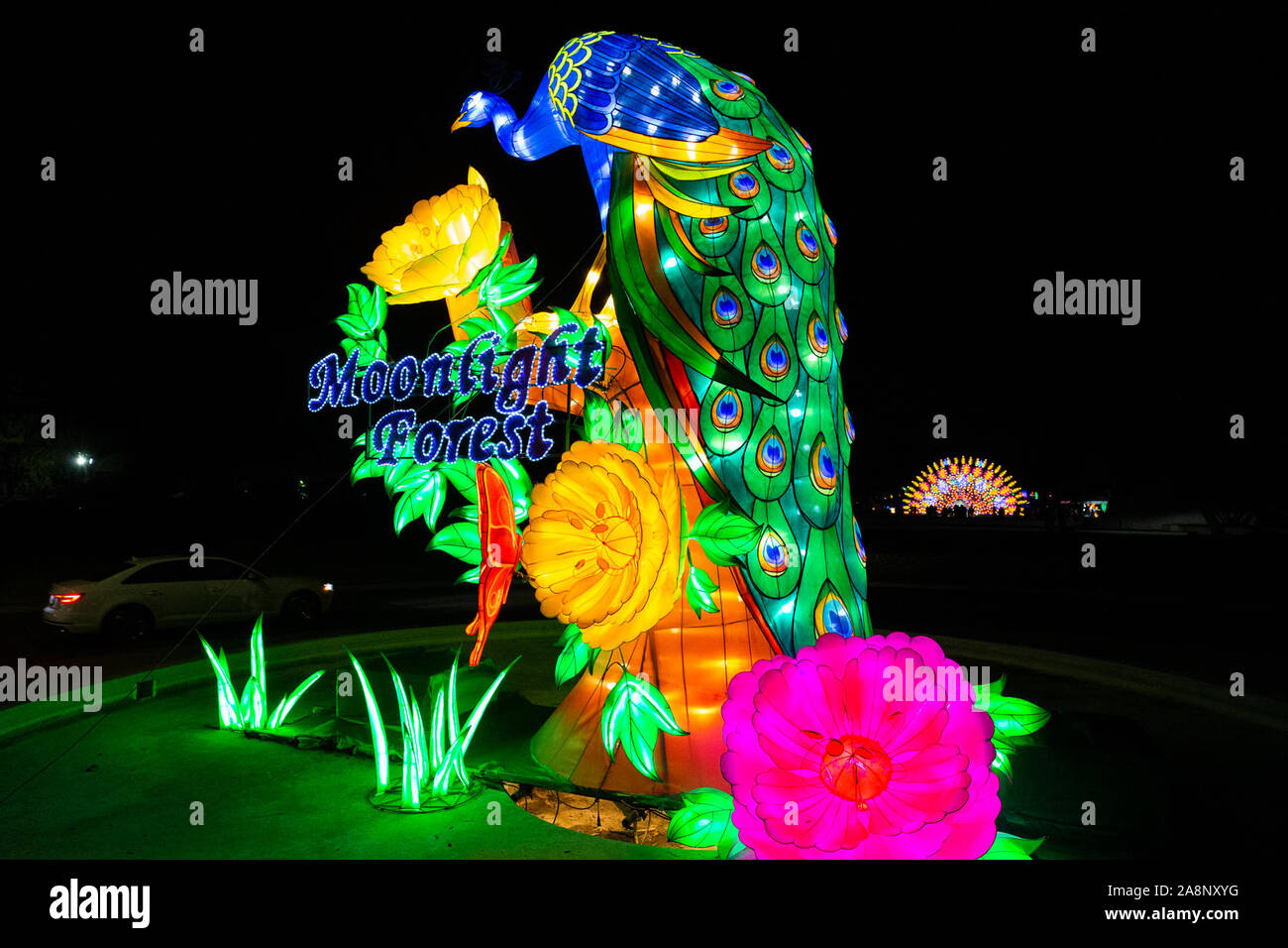 Los Angeles, USA. 9th Nov, 2019. Light installations are displayed during the Moonlight Forest Magical Lantern Art Festival at the Los Angeles County Arboretum and Botanic Garden in Los Angeles, the United States, Nov. 9, 2019. Credit: Qian Weizhong/Xinhua/Alamy Live News Stock Photo