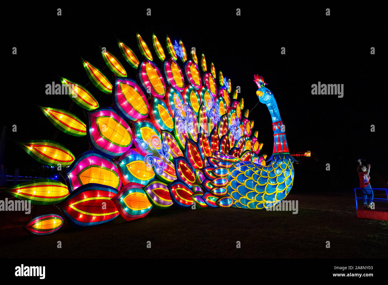 Los Angeles, USA. 9th Nov, 2019. A light installation is displayed during the Moonlight Forest Magical Lantern Art Festival at the Los Angeles County Arboretum and Botanic Garden in Los Angeles, the United States, Nov. 9, 2019. Credit: Qian Weizhong/Xinhua/Alamy Live News Stock Photo