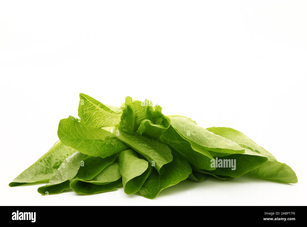 fresh salad on white background Stock Photo - Alamy
