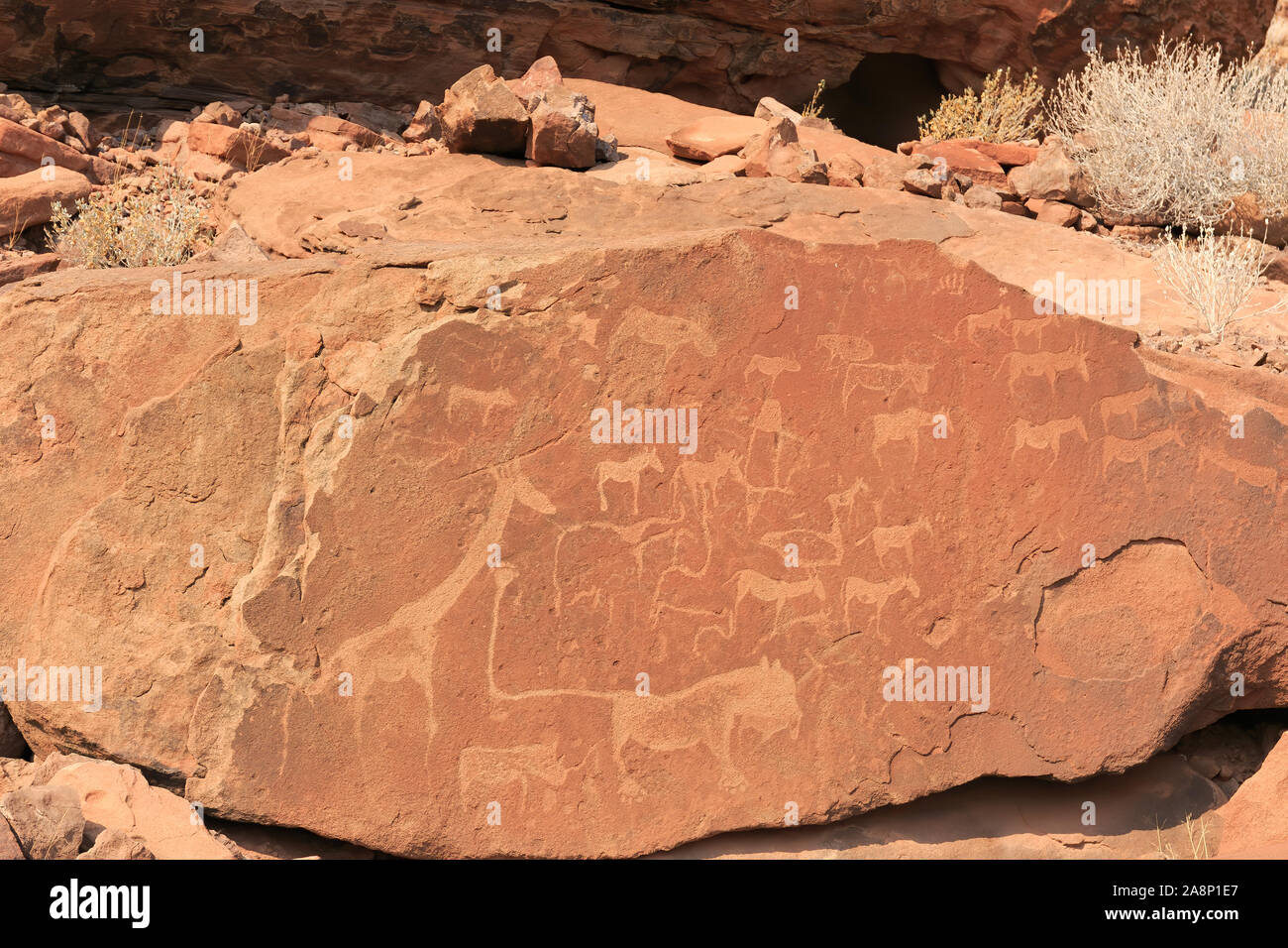 Ancient rock engravings at Twyfelfontein Stock Photo