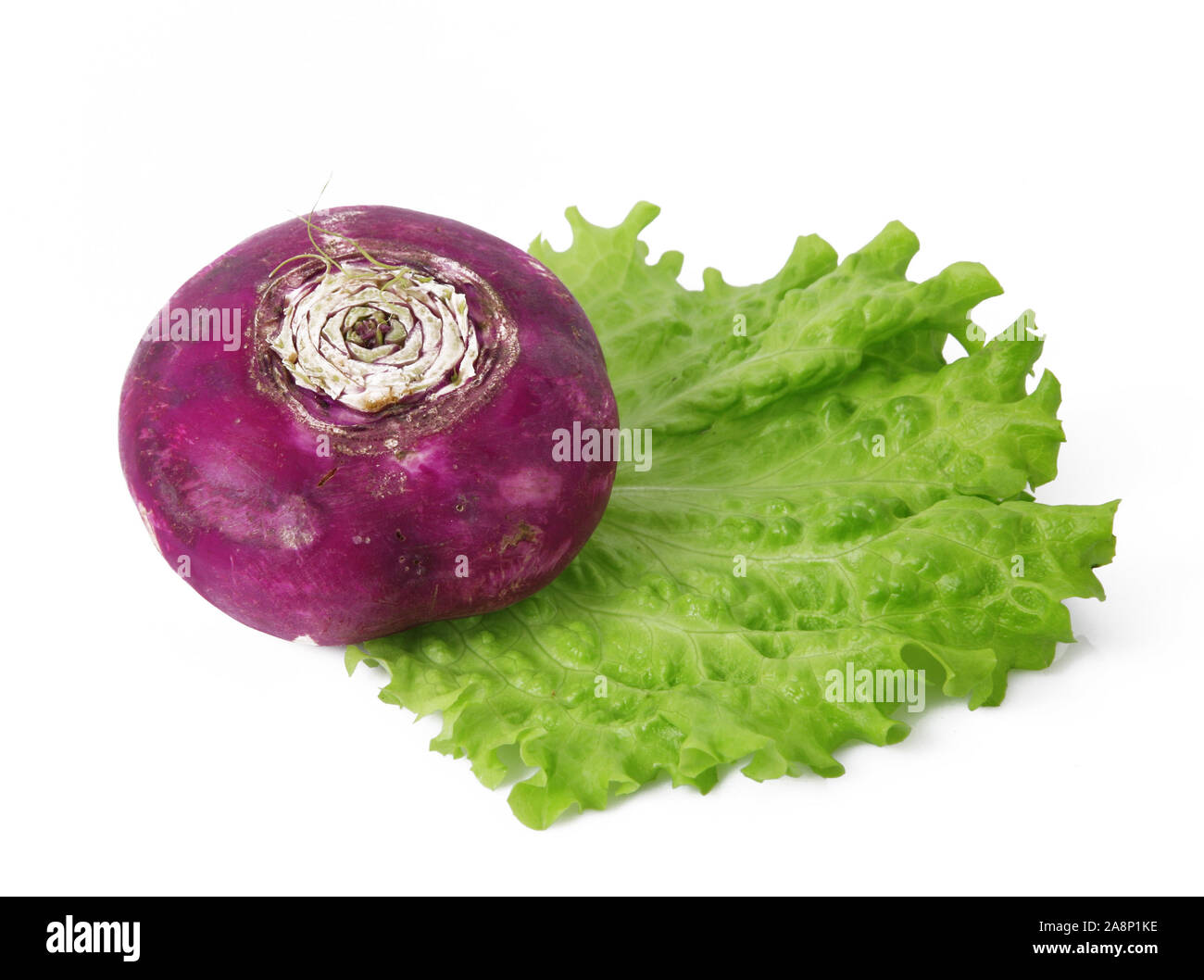 Red turnip hires stock photography and images Alamy