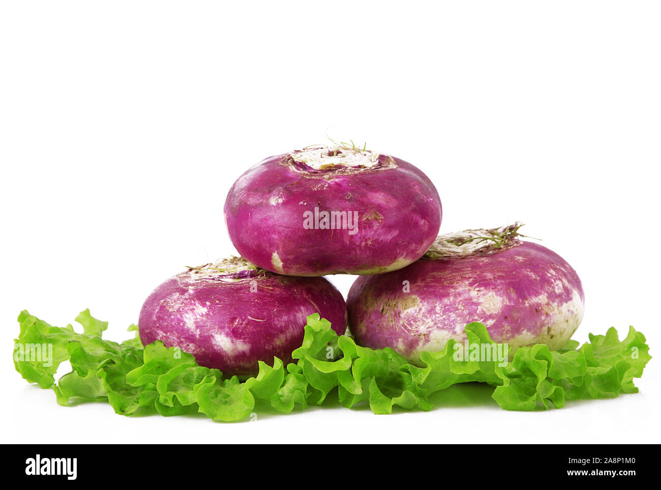 Red turnip hires stock photography and images Alamy