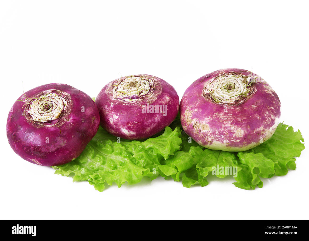 a fresh red turnip on white background Stock Photo Alamy