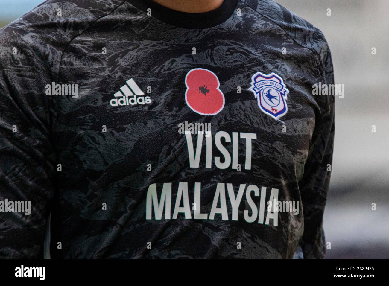 Close up of Cardiff City FC badge Stock Photo - Alamy