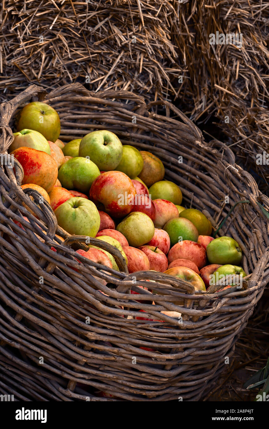 Apples In A Basket Stock Photo Alamy