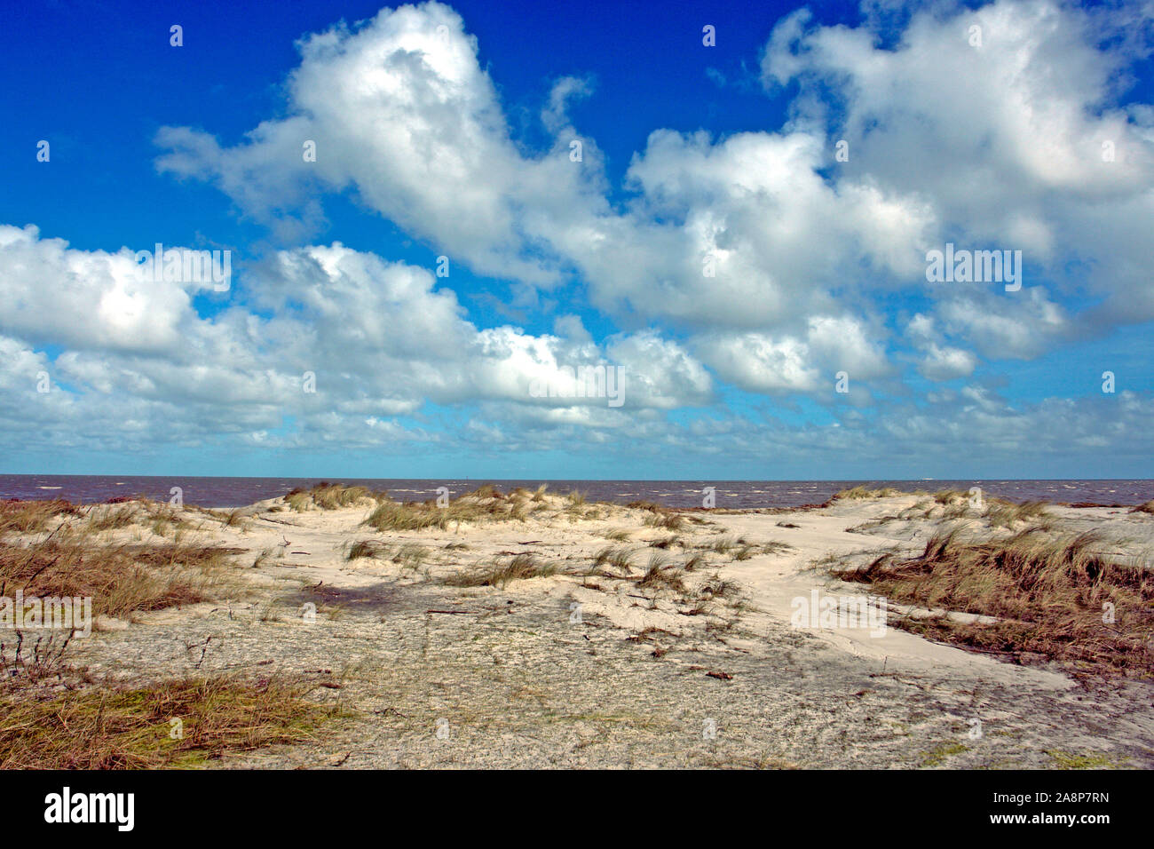 Wolkenhimmel, Cumulus Wolken, blauer Himmel, Ostfriesland, Ostfriesische Inseln, Nordseeküste, Sandstrand, Stock Photo