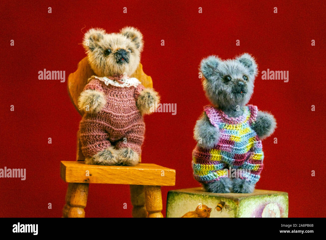 A Little Animal Pocket Bear Hug Cute Collectible Stuffed Plush Toy Card