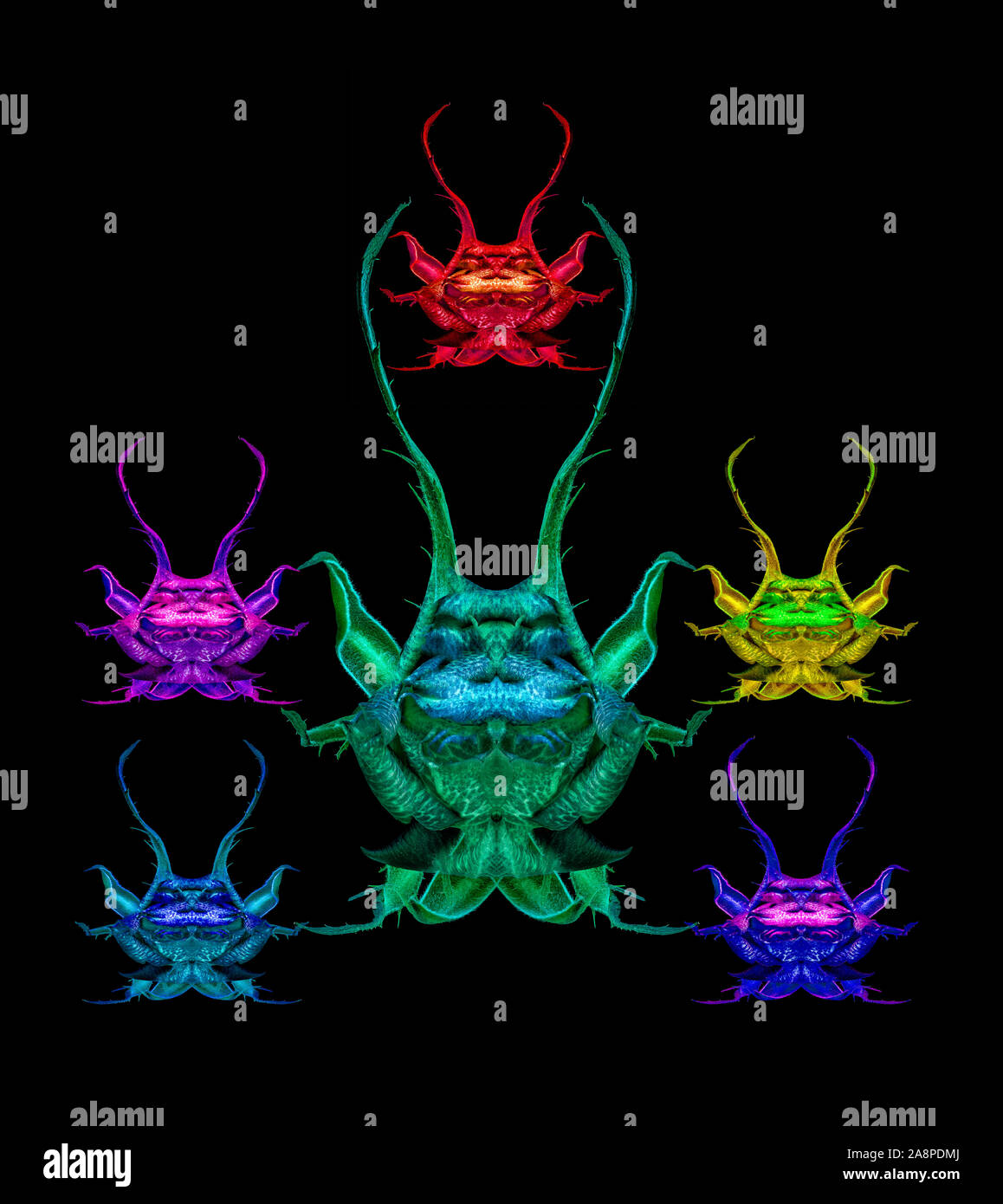 Six colorful fantasy alien characters created of rose macros on black