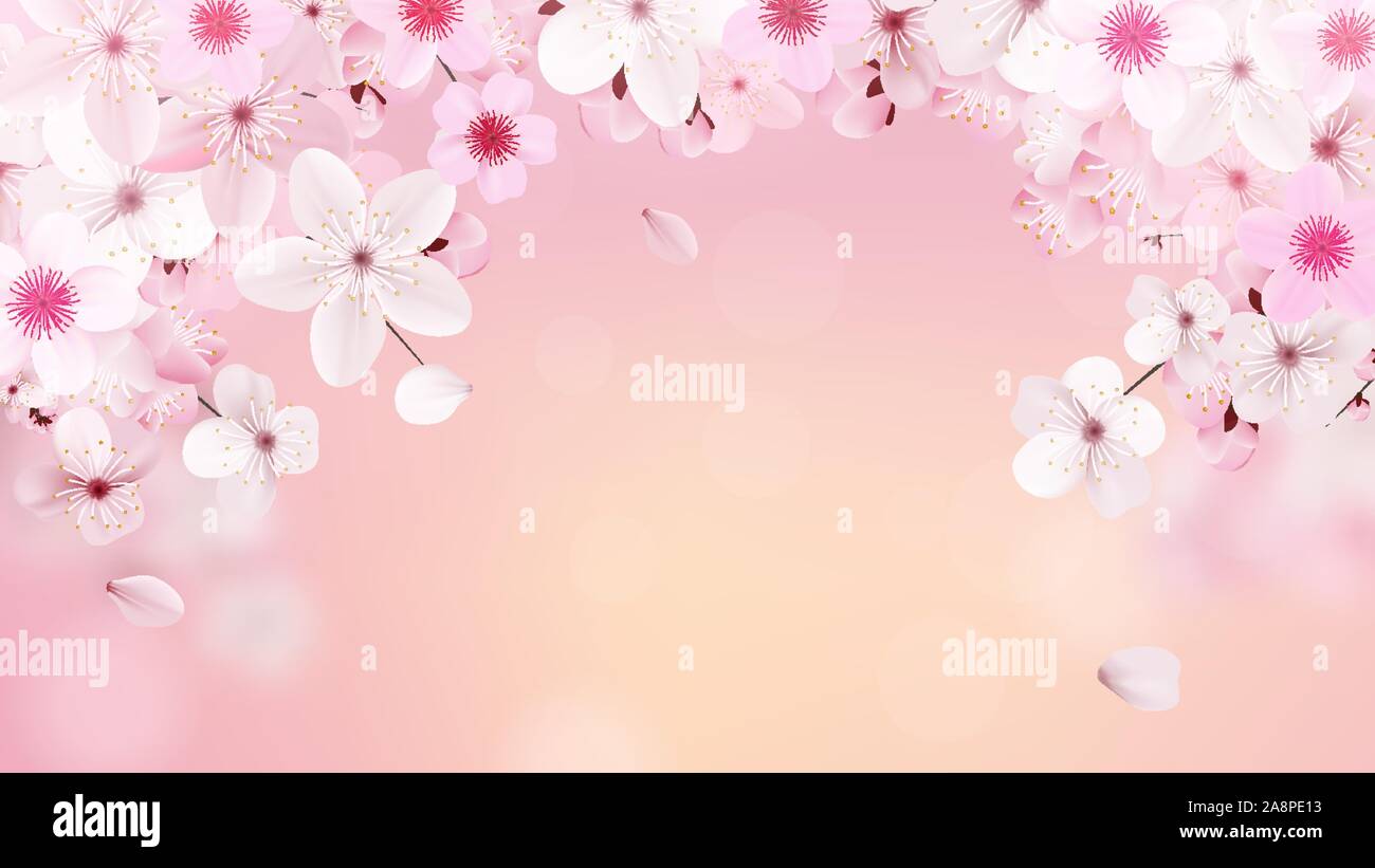 Blossoming light pink sakura flowers. Realistic cherry flowers Stock Vector