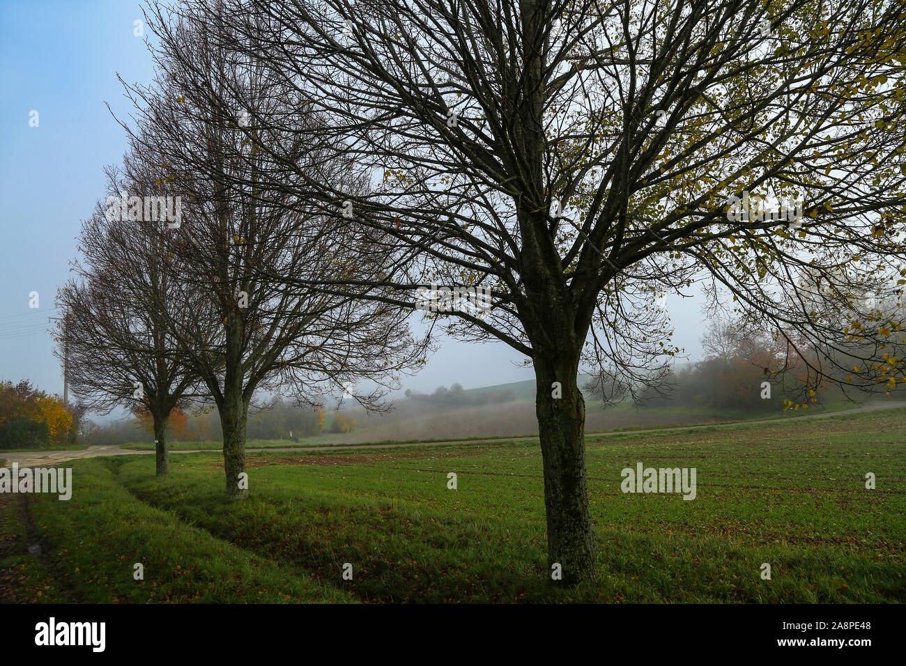 Morning fog. Autumn landscape with roads and trees Stock Photo - Alamy