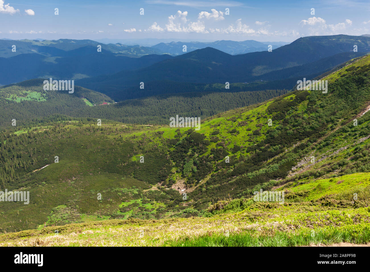 Beautiful summer landscape of the Carpathian mountains with from mountain Hoverla Stock Photo