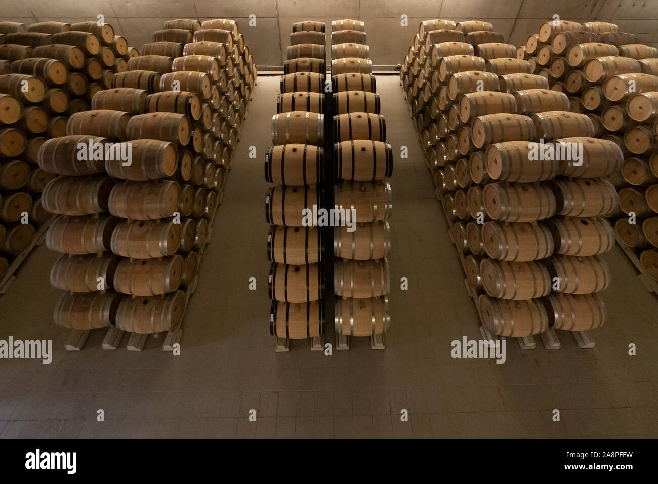 Barrels in a row in a Rioja Alavesa winery, Baigorri Stock Photo