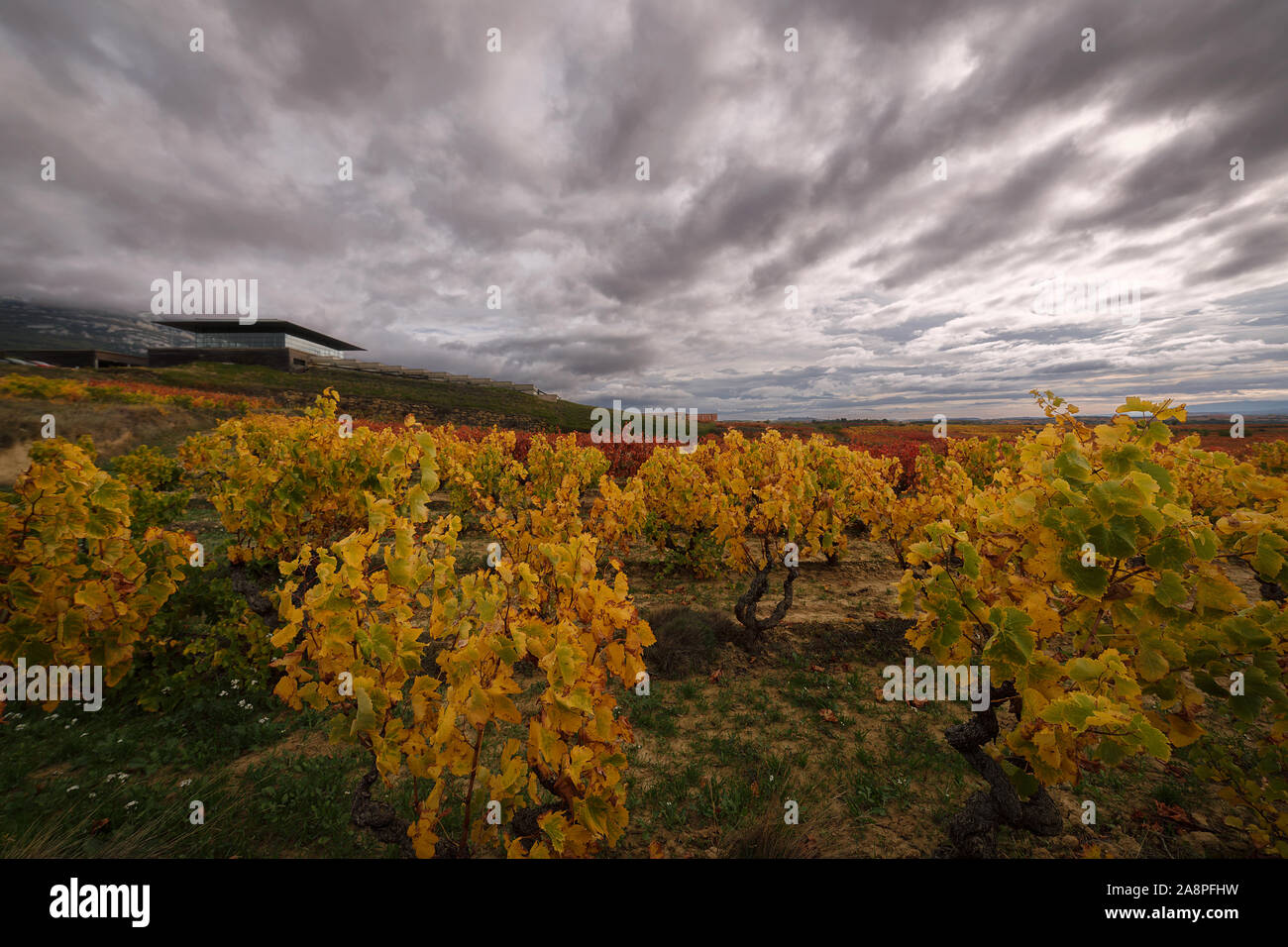 Baigorri winery in Samaniego, Rioja Alavesa, Spain Stock Photo