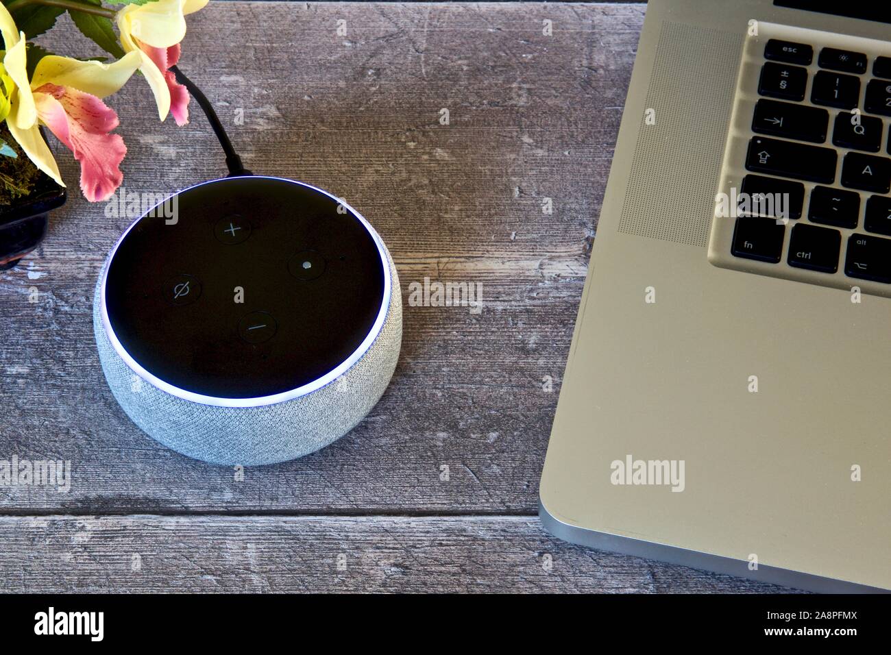 Echo dot 3rd gen hi-res stock photography and images - Alamy